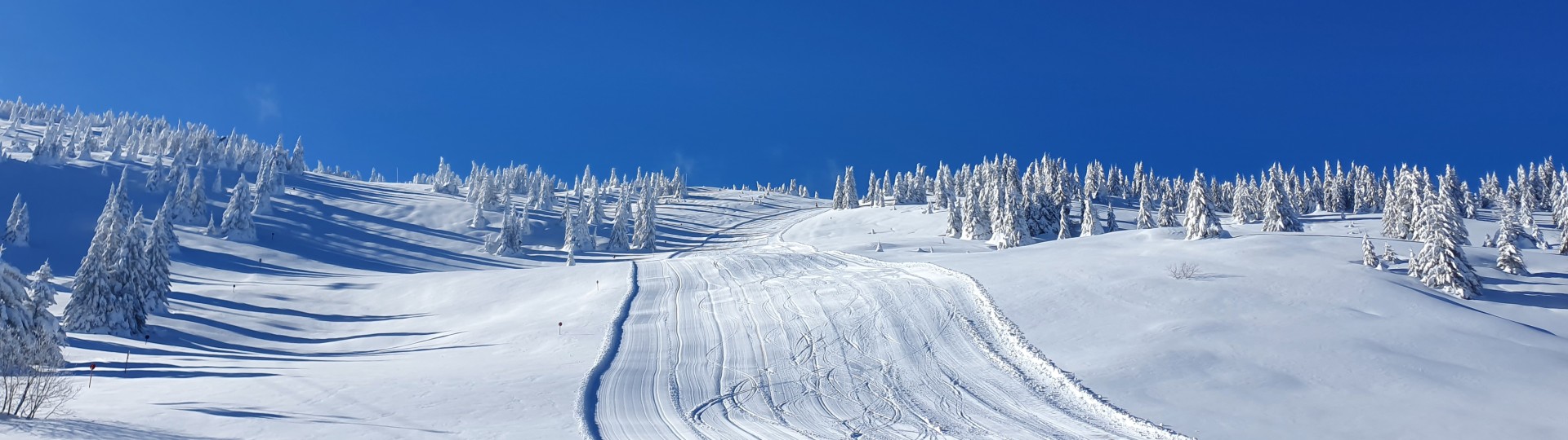 Hotel Putnik Kopaonik 