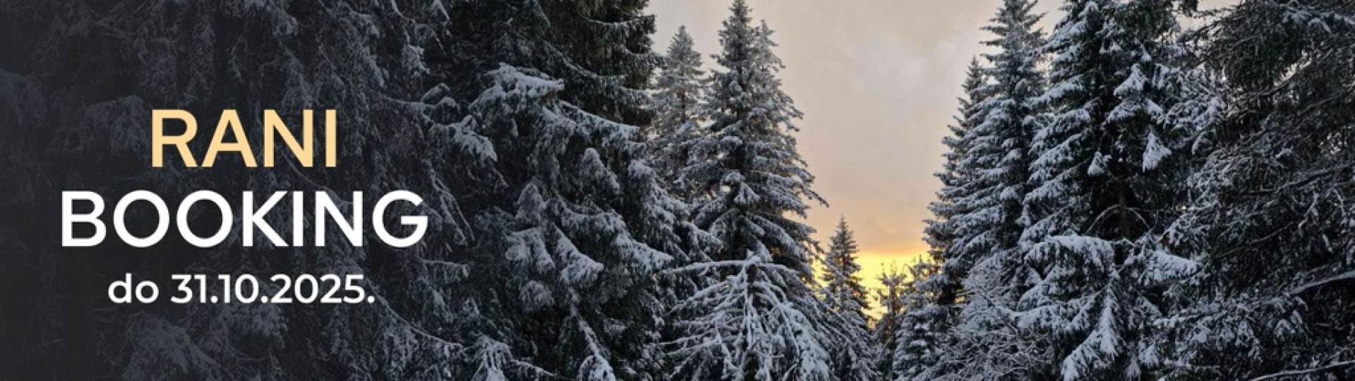 Hotel Putnik Kopaonik 