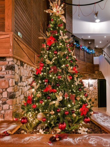 OfferIcon Special offer 10% off