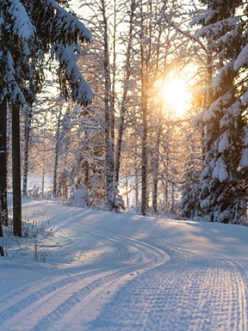 OfferIcon Januarska Last Minute Ponuda -15%