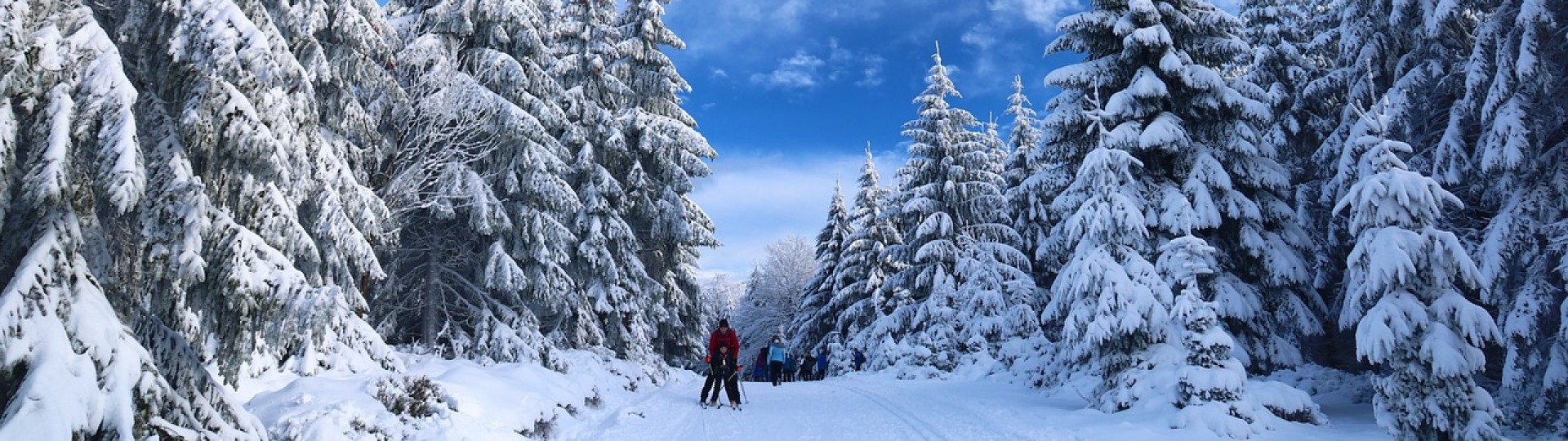 Hotel Putnik Kopaonik 